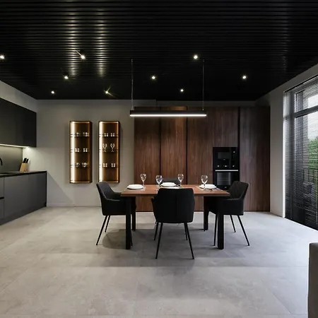 Luxury Budapest Apartment Uzhhorod